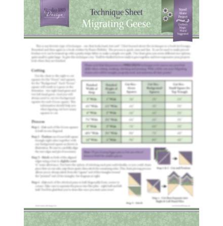 Technique Sheet for Migrating Geese