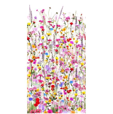 Spring (11551)
