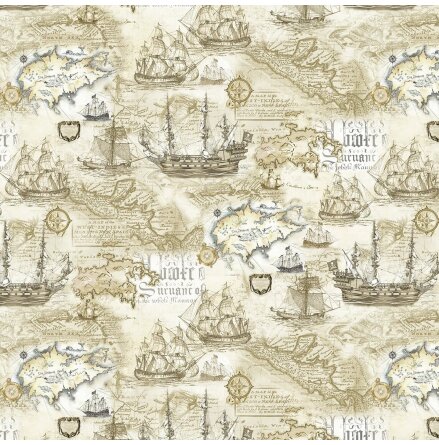 Treasure Map Neutral (16800)