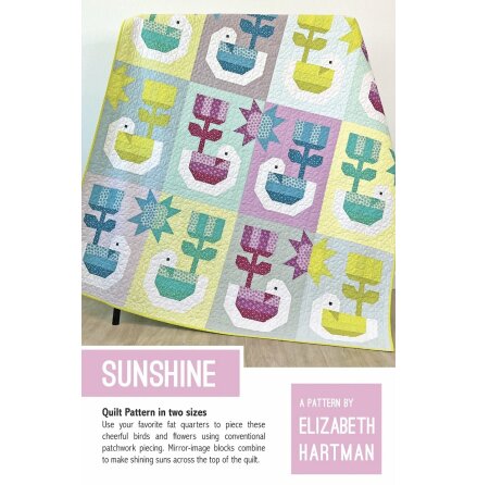 Sunshine (16855)