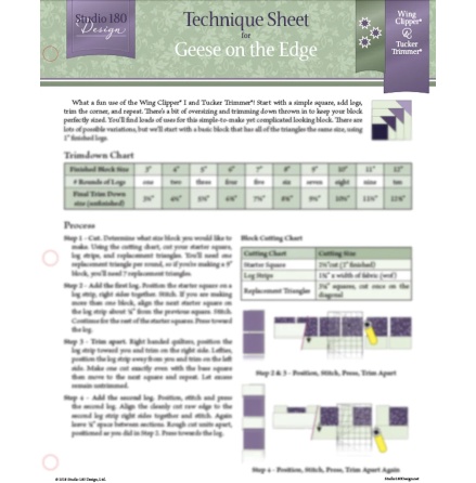Technique Sheet fr Geese on the Edge (17192)