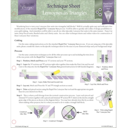 Technique Sheet Lemons as Triangels (17193)