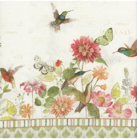 Hummingbird days (17776)
